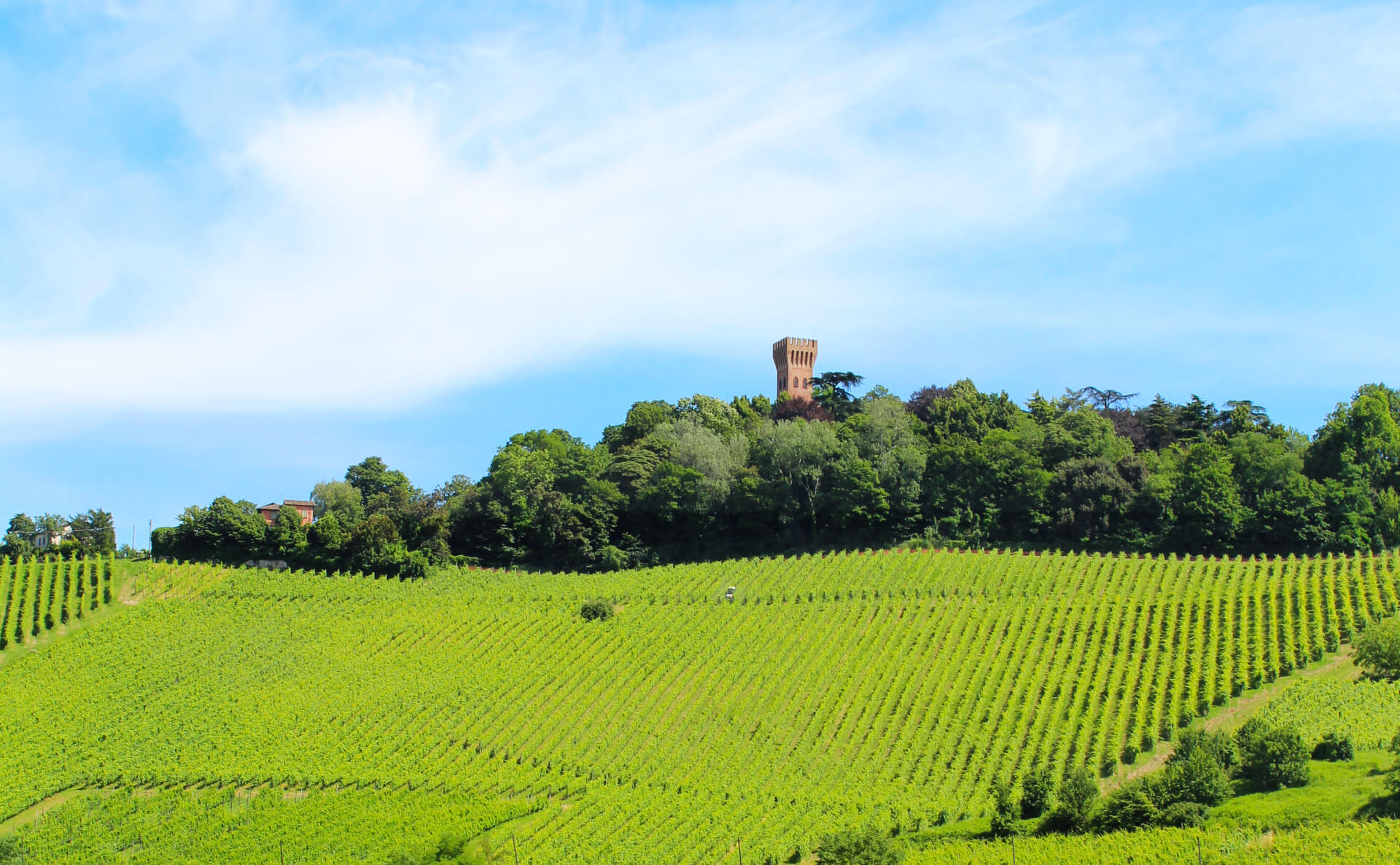 Paesaggio Oltrepò Pavese