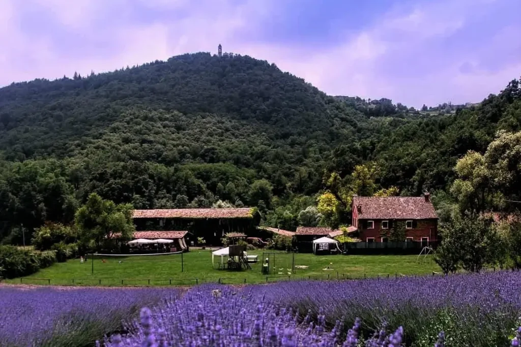 Agriturismo Boccapane