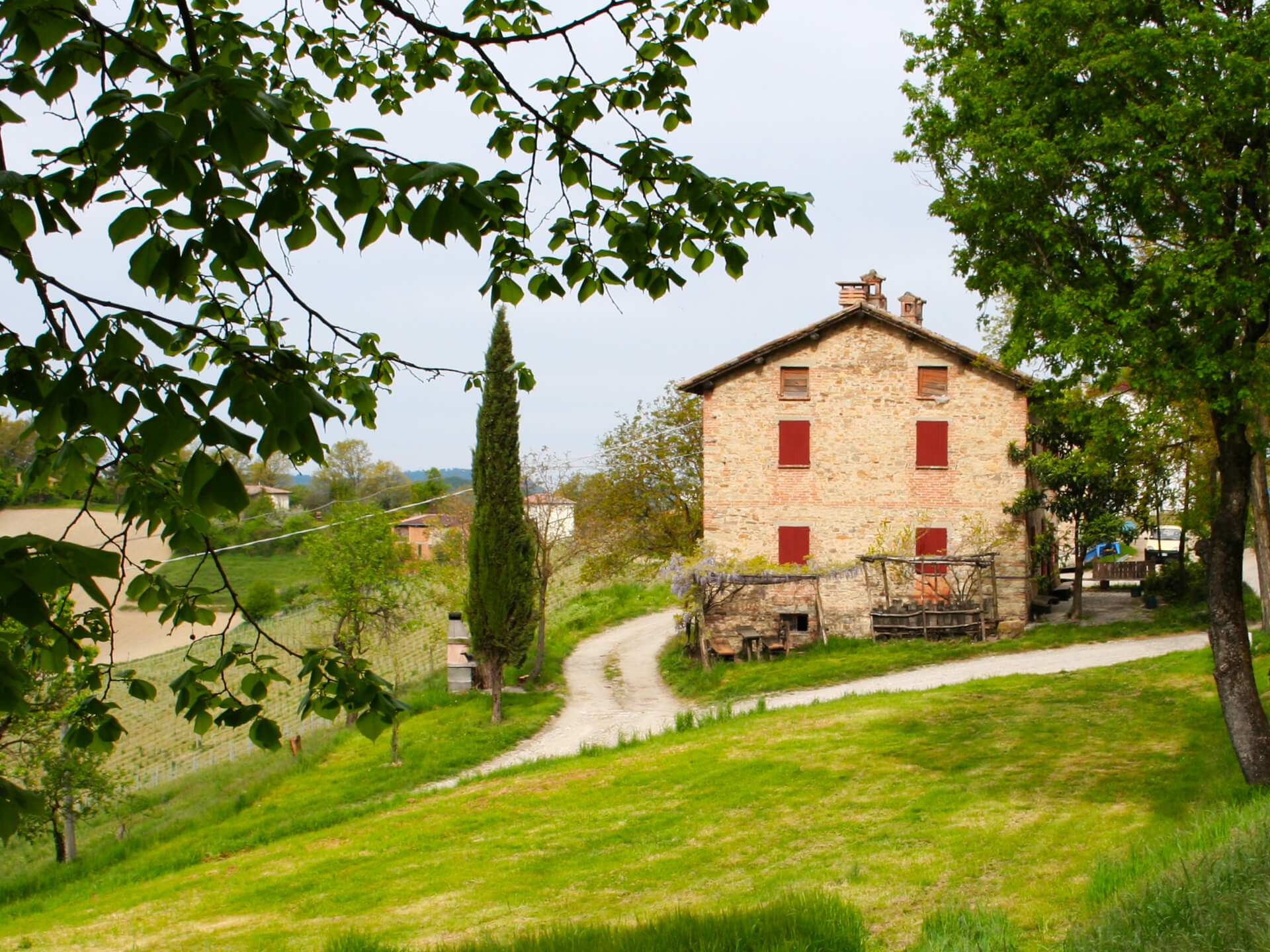 Agriturismo Torre degli Alberi