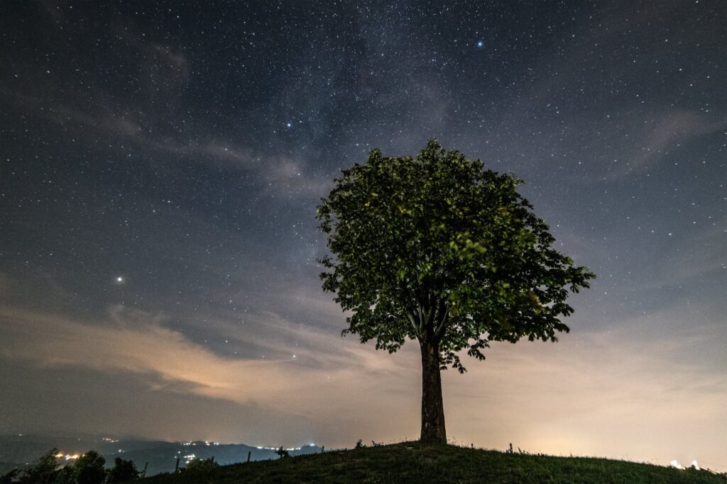 Cantina Calvi cielo stellato