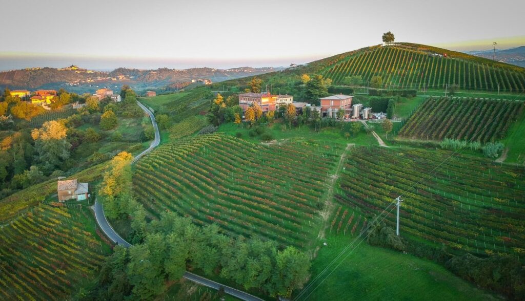 Cantina Quaquarini panoramica