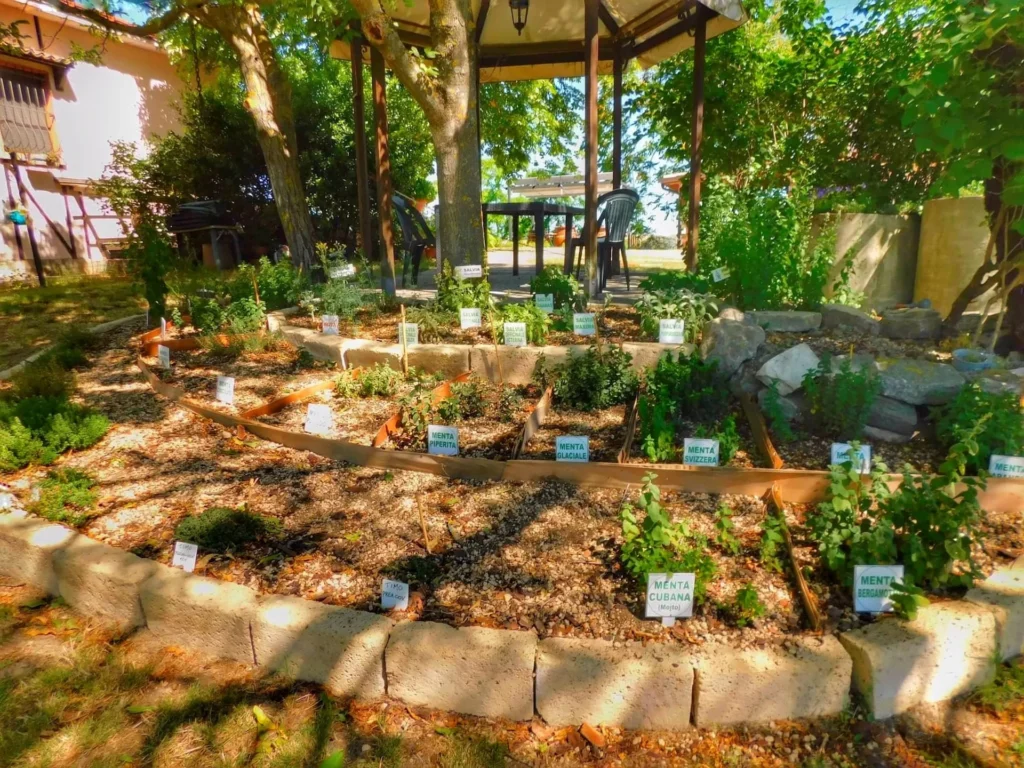 Azienda Agricola Impoggio erbe aromatiche