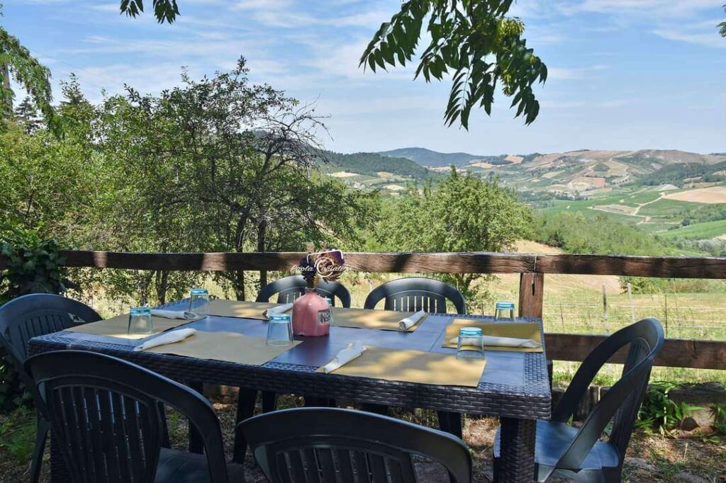 Azienda Agricola Impoggio vista panoramico