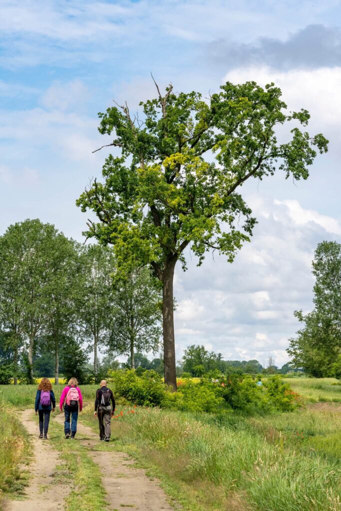 Mangialonga Godiasco