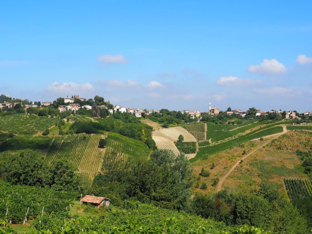 Vigneti Oltrepò Pavese