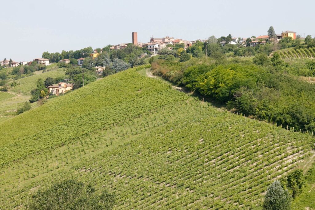 Vigneti Oltrepò Pavese