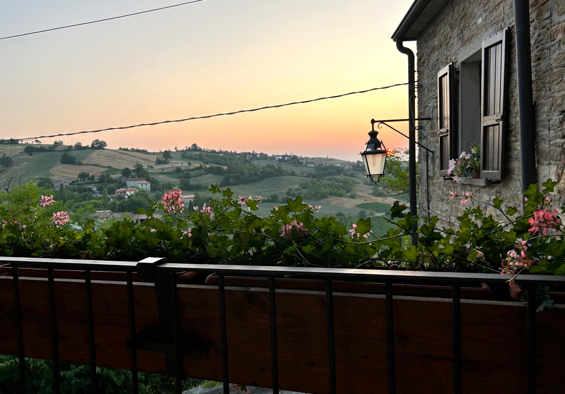 Wildman agriturismo ristorante