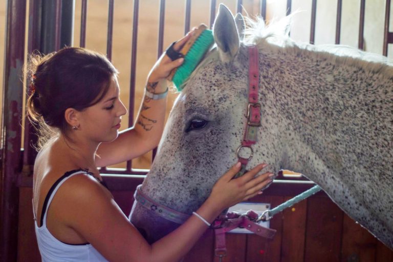 Dove fare passeggiate a cavallo in Oltrepò Pavese